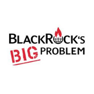 Logo Black Rocks Big Problem