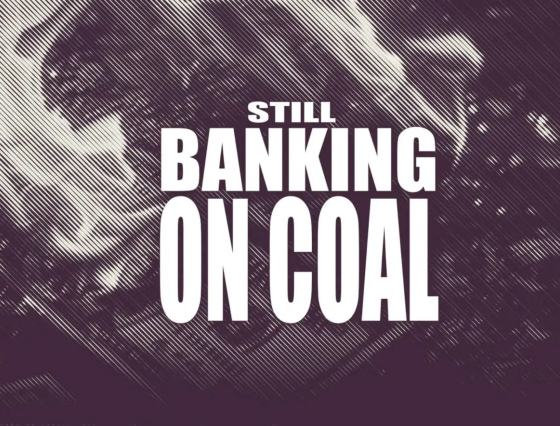 Still Banking on Coal 2025