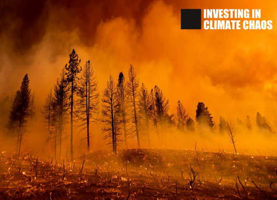 Investing in Climate Chaos